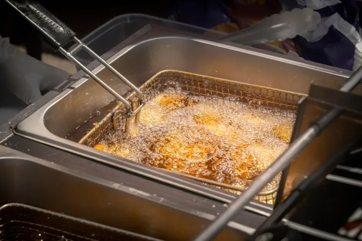Commercial fryer
